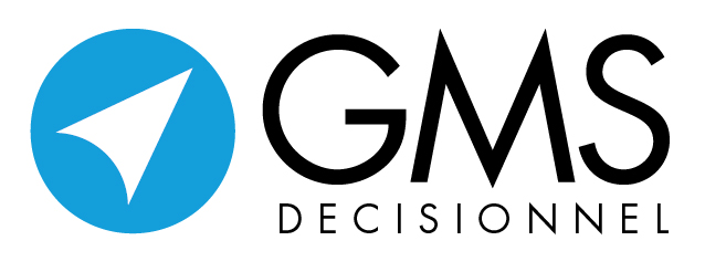 GMS_LOGO_BLEU_NOIR